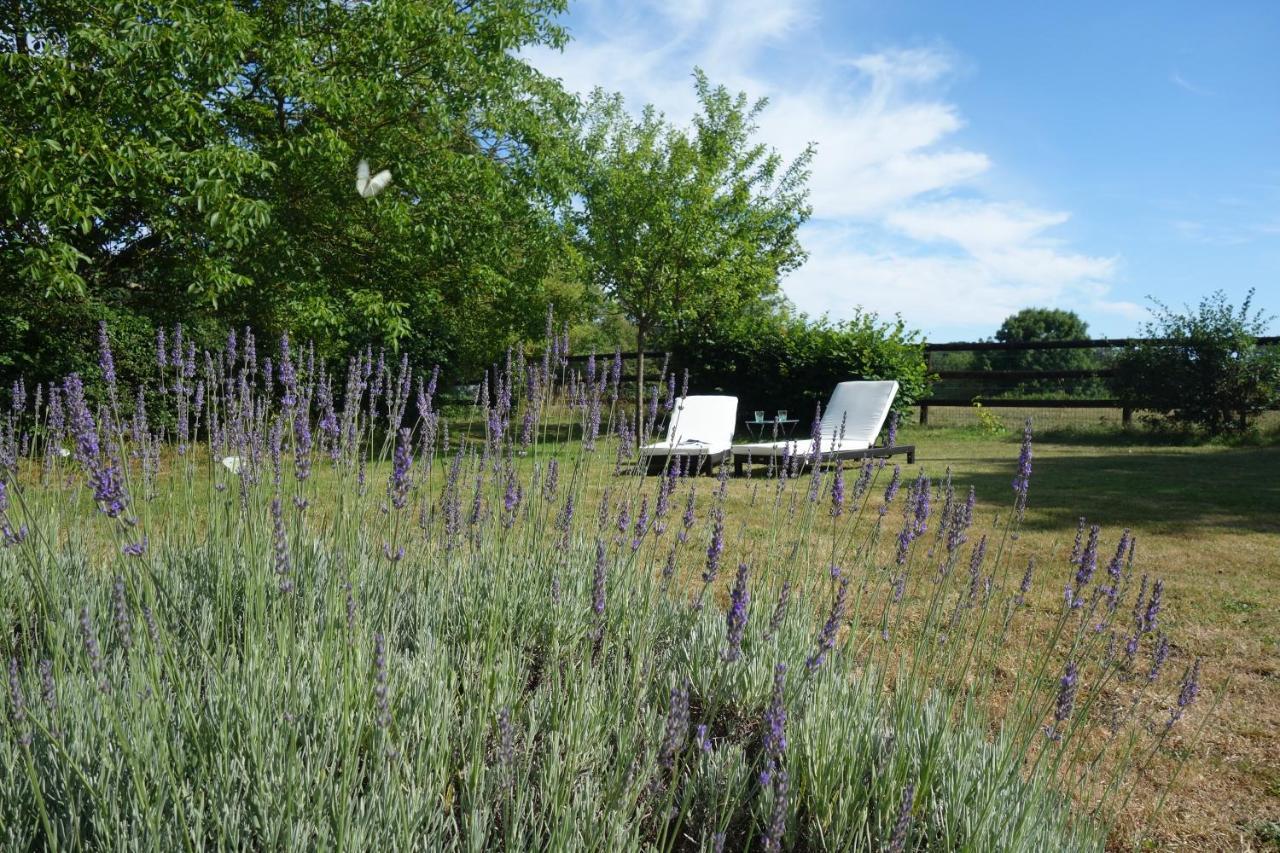 Le Cottage Du Coudray, Gite Avec Chalet Sauna La Fresnaie-Fayel Eksteriør billede